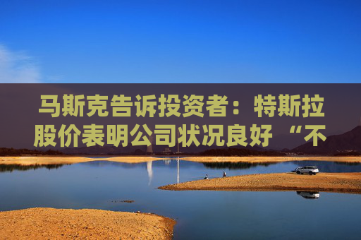 马斯克告诉投资者：特斯拉股价表明公司状况良好 “不必担忧”