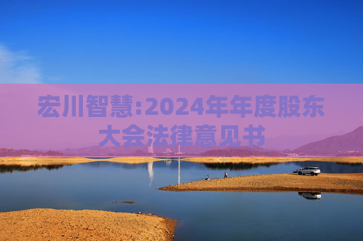 宏川智慧:2024年年度股东大会法律意见书