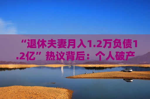 “退休夫妻月入1.2万负债1.2亿”热议背后：个人破产制度还有多远？