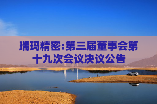 瑞玛精密:第三届董事会第十九次会议决议公告