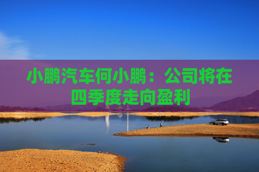 小鹏汽车何小鹏：公司将在四季度走向盈利