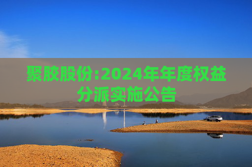 聚胶股份:2024年年度权益分派实施公告