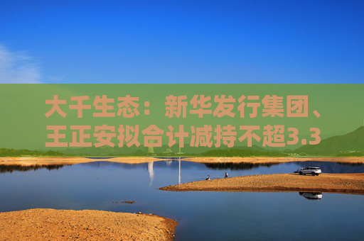 大千生态：新华发行集团、王正安拟合计减持不超3.3%公司股份
