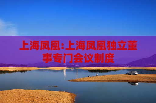 上海凤凰:上海凤凰独立董事专门会议制度