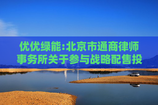 优优绿能:北京市通商律师事务所关于参与战略配售投资者核查事项的法律意见书