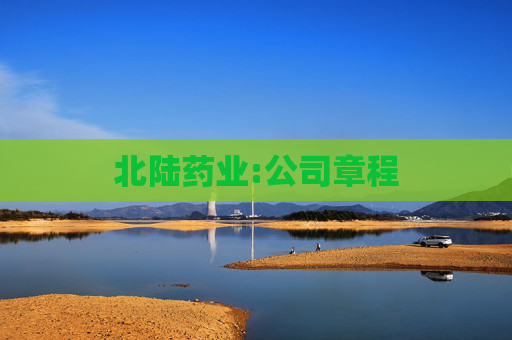 北陆药业:公司章程