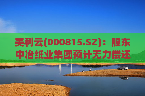 美利云(000815.SZ)：股东中冶纸业集团预计无力偿还到期债务