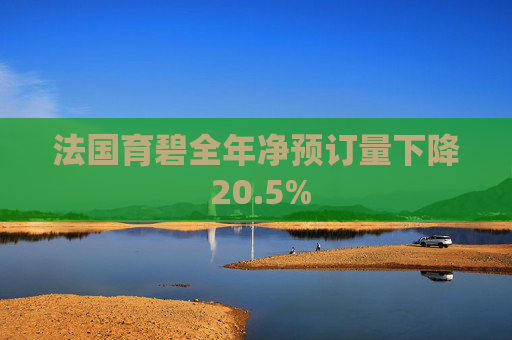 法国育碧全年净预订量下降 20.5%