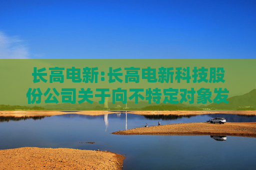 长高电新:长高电新科技股份公司关于向不特定对象发行可转换公司债券预案及相关文件修订情况说明的公告