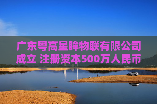 广东粤高星眸物联有限公司成立 注册资本500万人民币