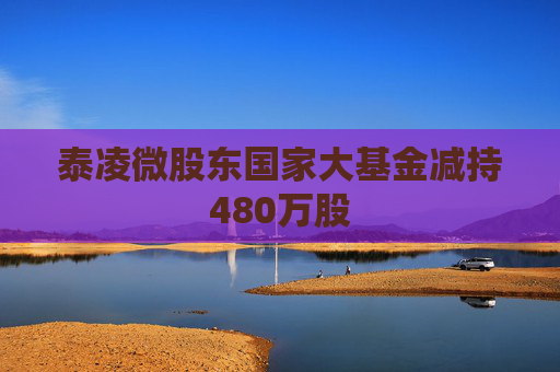 泰凌微股东国家大基金减持480万股
