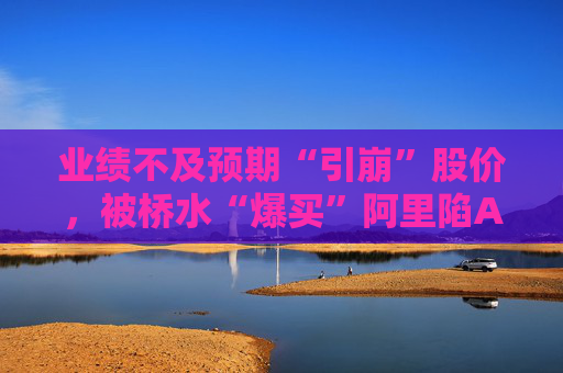 业绩不及预期“引崩”股价，被桥水“爆买”阿里陷AI叙事“阵痛”