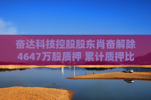 奋达科技控股股东肖奋解除4647万股质押 累计质押比例达74.15%  第1张