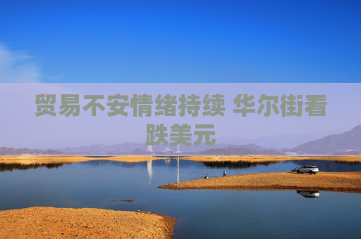 贸易不安情绪持续 华尔街看跌美元