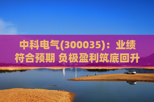中科电气(300035)：业绩符合预期 负极盈利筑底回升