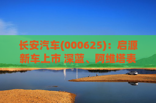 长安汽车(000625)：启源新车上市 深蓝、阿维塔表现较好