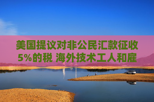 美国提议对非公民汇款征收5%的税 海外技术工人和雇主承压