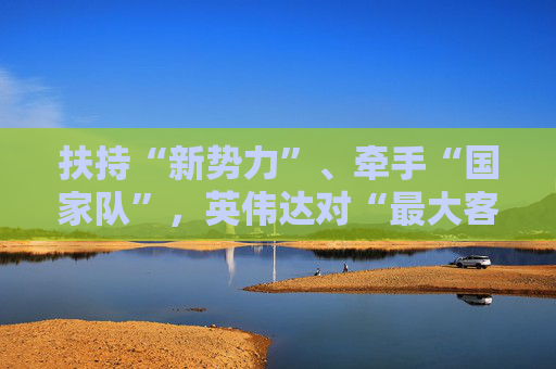 扶持“新势力”、牵手“国家队”，英伟达对“最大客户”时刻提防