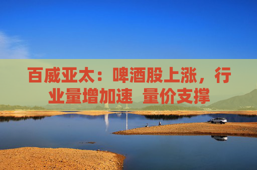百威亚太：啤酒股上涨，行业量增加速  量价支撑