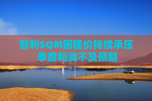 智利SQM因锂价持续承压 季度利润不及预期  第1张