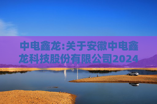 中电鑫龙:关于安徽中电鑫龙科技股份有限公司2024年度股东会的法律意见