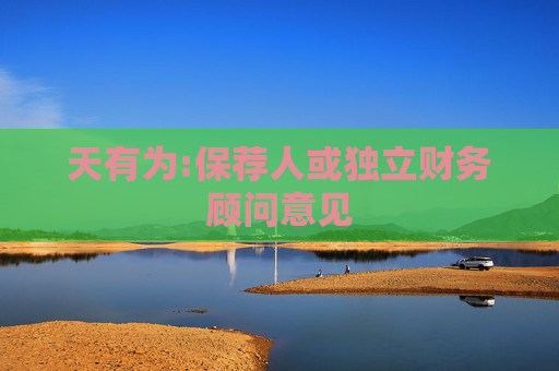 天有为:保荐人或独立财务顾问意见