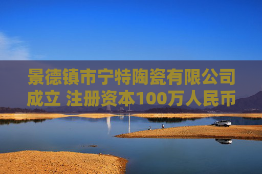 景德镇市宁特陶瓷有限公司成立 注册资本100万人民币  第1张