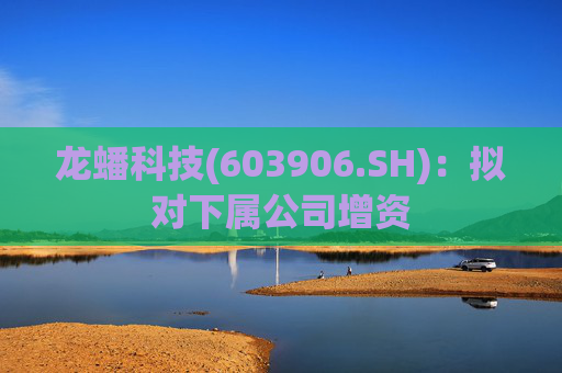 龙蟠科技(603906.SH)：拟对下属公司增资