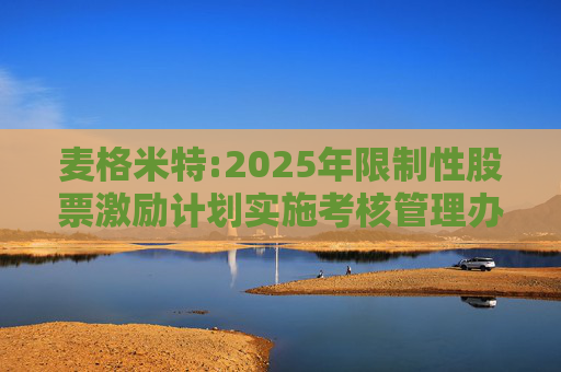 麦格米特:2025年限制性股票激励计划实施考核管理办法