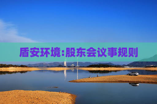盾安环境:股东会议事规则