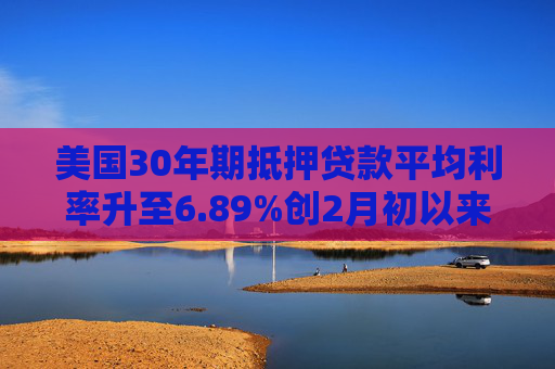 美国30年期抵押贷款平均利率升至6.89%创2月初以来最高水平
