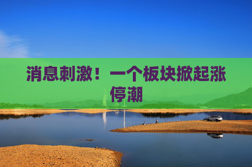消息刺激！一个板块掀起涨停潮