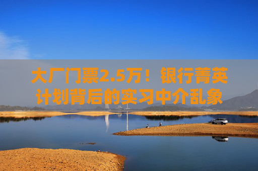 大厂门票2.5万！银行菁英计划背后的实习中介乱象
