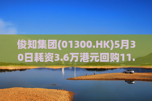 俊知集团(01300.HK)5月30日耗资3.6万港元回购11.8万股