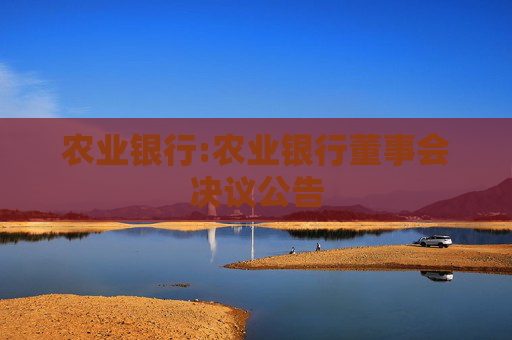 农业银行:农业银行董事会决议公告