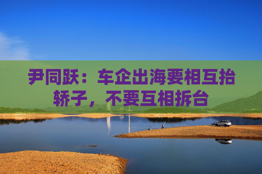 尹同跃：车企出海要相互抬轿子，不要互相拆台