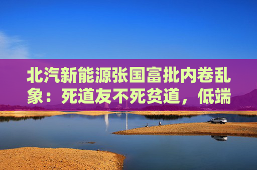 北汽新能源张国富批内卷乱象：死道友不死贫道，低端竞争是一条死胡同