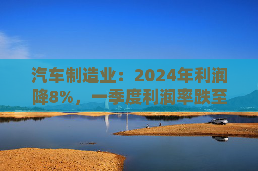 汽车制造业：2024年利润降8%，一季度利润率跌至3.9%