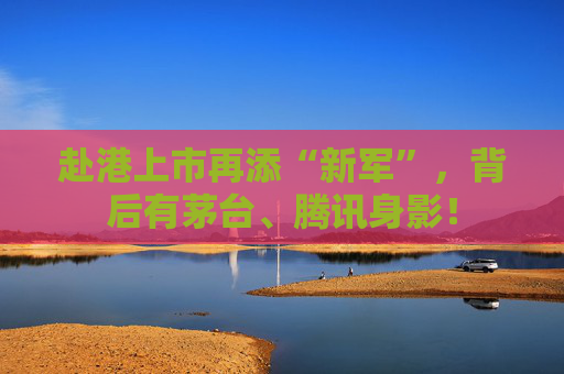 赴港上市再添“新军”，背后有茅台、腾讯身影！