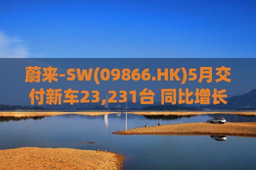 蔚来-SW(09866.HK)5月交付新车23,231台 同比增长13.1%