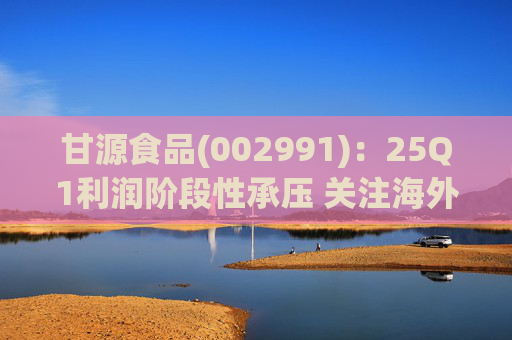 甘源食品(002991)：25Q1利润阶段性承压 关注海外市场突破