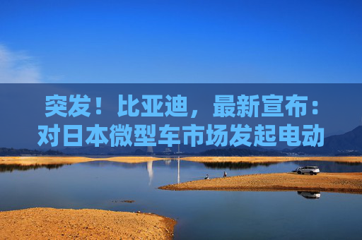 突发！比亚迪，最新宣布：对日本微型车市场发起电动车攻击
