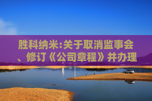 胜科纳米:关于取消监事会、修订《公司章程》并办理工商变更登记及修订部分公司治理制度的公告