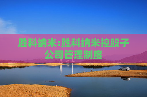 胜科纳米:胜科纳米控股子公司管理制度