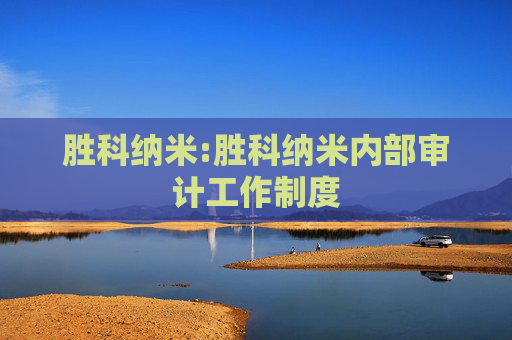 胜科纳米:胜科纳米内部审计工作制度