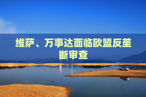 维萨、万事达面临欧盟反垄断审查