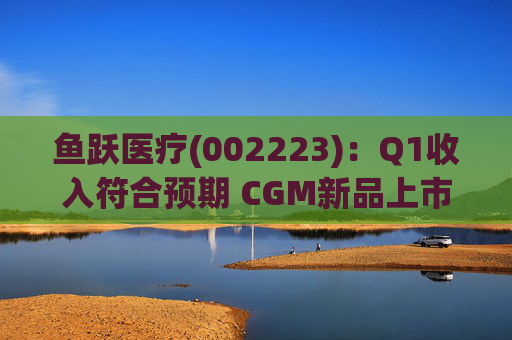 鱼跃医疗(002223)：Q1收入符合预期 CGM新品上市丰富增长动能
