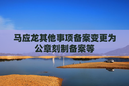 马应龙其他事项备案变更为公章刻制备案等