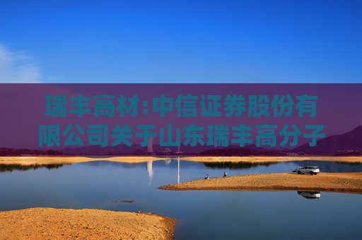 瑞丰高材:中信证券股份有限公司关于山东瑞丰高分子材料股份有限公司2024年度持续督导定期现场检查报告