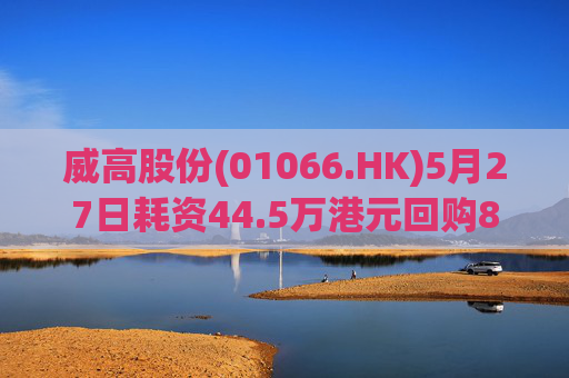 威高股份(01066.HK)5月27日耗资44.5万港元回购8万股  第1张